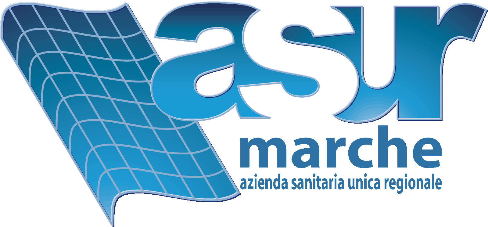 Partner 5
